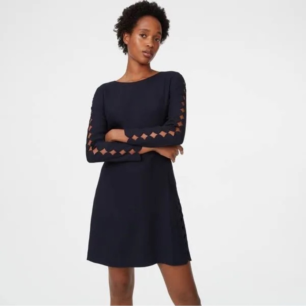Club Monaco Elegant Navy Long Sleeve Dress